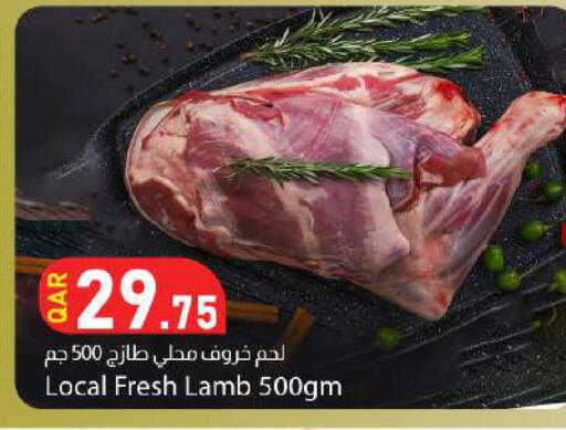 available at دانا ماركت in قطر - الدوحة