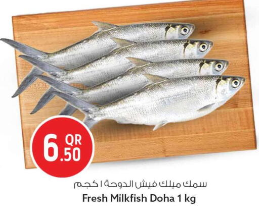 available at سفاري هايبر ماركت in قطر - الدوحة