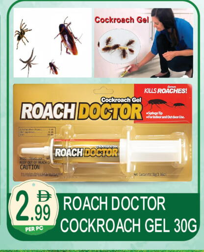 available at Dream Land in UAE - Dubai