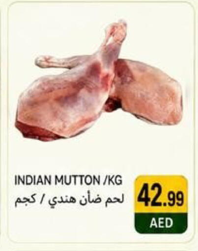available at  روابي ماركت عجمان in الإمارات العربية المتحدة , الامارات - الشارقة / عجمان