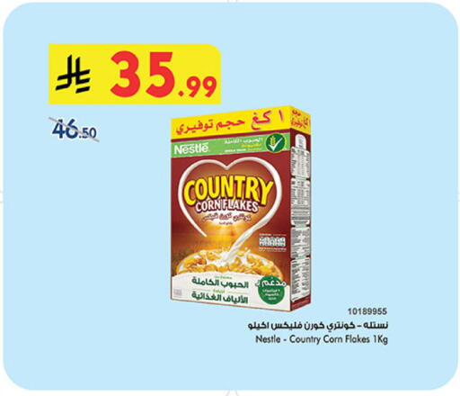 available at بن داود in مملكة العربية السعودية, السعودية, سعودية - المدينة المنورة