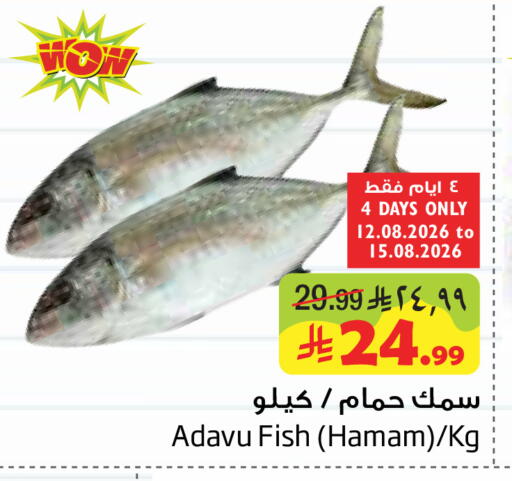 available at ليان هايبر in مملكة العربية السعودية, السعودية, سعودية - الخبر‎