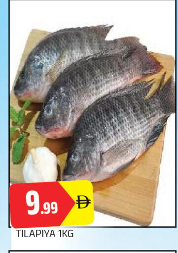available at AL MADINA in UAE - Sharjah / Ajman