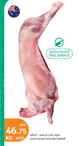 available at City Hypermarket in Qatar - Al Rayyan