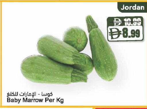 Marrow from Jordan available at Almaya Supermarkets in UAE - Dubai