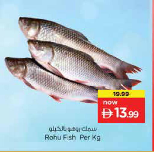 available at نستو هايبرماركت in الإمارات العربية المتحدة , الامارات - دبي