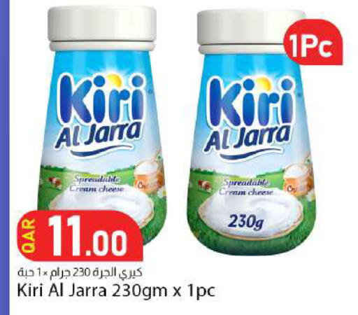 available at دانا ماركت in قطر - الضعاين