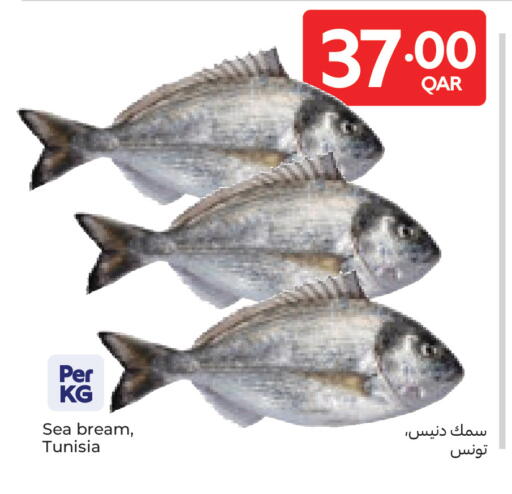 available at كارفور in قطر - الدوحة
