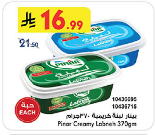 available at بن داود in مملكة العربية السعودية, السعودية, سعودية - المدينة المنورة