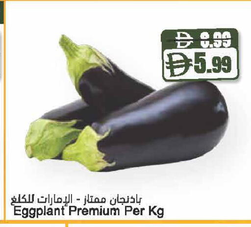 Eggplant available at Almaya Supermarkets in UAE - Dubai