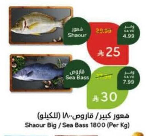 available at هايبر بنده in مملكة العربية السعودية, السعودية, سعودية - الخرج