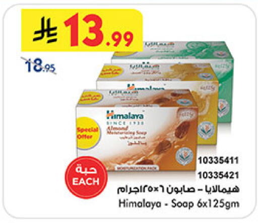 available at بن داود in مملكة العربية السعودية, السعودية, سعودية - المدينة المنورة