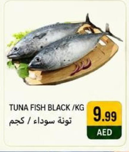 available at  روابي ماركت عجمان in الإمارات العربية المتحدة , الامارات - الشارقة / عجمان
