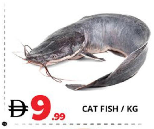 available at EXPRESS AL MADEENA HYPERMARKET LLC in UAE - Abu Dhabi