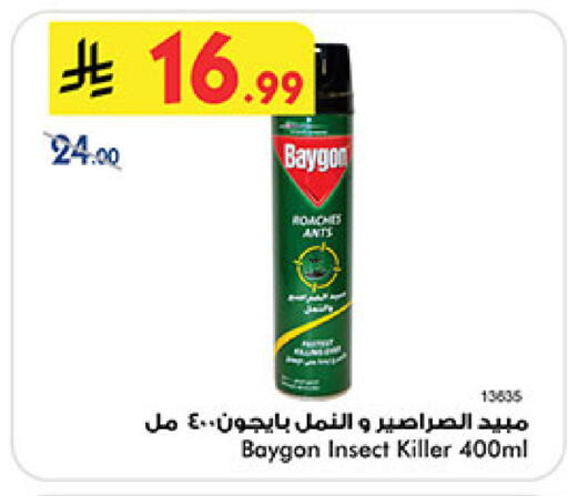 available at بن داود in مملكة العربية السعودية, السعودية, سعودية - المدينة المنورة