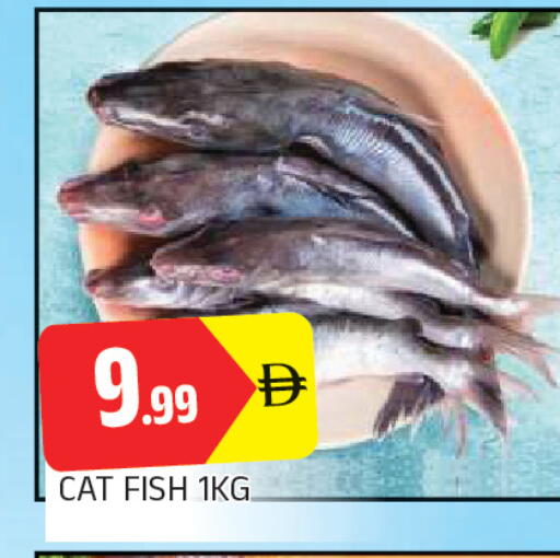 available at AL MADINA in UAE - Sharjah / Ajman