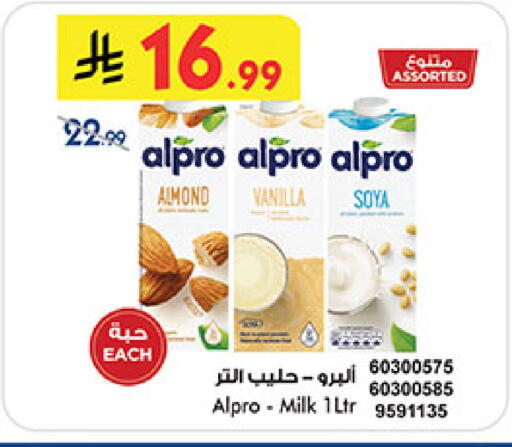 Vanilla available at بن داود in مملكة العربية السعودية, السعودية, سعودية - المدينة المنورة