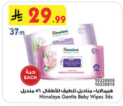 available at بن داود in مملكة العربية السعودية, السعودية, سعودية - المدينة المنورة