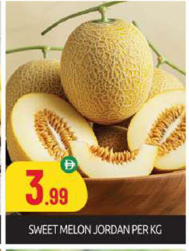 Melon from Jordan available at بيج مارت in الإمارات العربية المتحدة , الامارات - أبو ظبي
