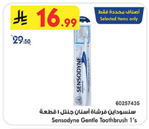 available at بن داود in مملكة العربية السعودية, السعودية, سعودية - المدينة المنورة