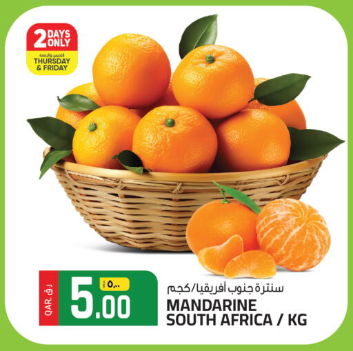 from South Africa available at السعودية in قطر - الشمال