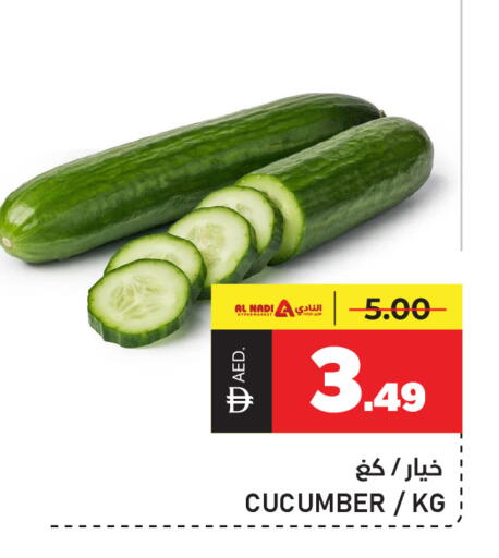 Cucumber available at النادي هايبرماركت in الإمارات العربية المتحدة , الامارات - الشارقة / عجمان