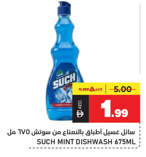 Mint available at النادي هايبرماركت in الإمارات العربية المتحدة , الامارات - الشارقة / عجمان