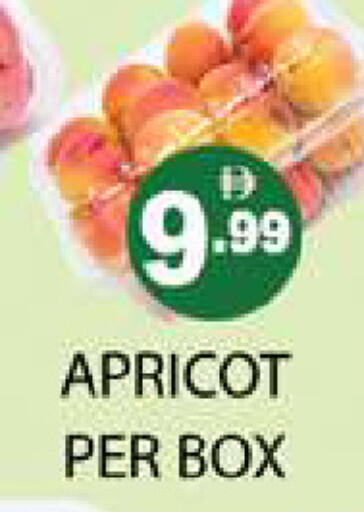 Apricot available at Zain Mart Supermarket in UAE - Ras al Khaimah