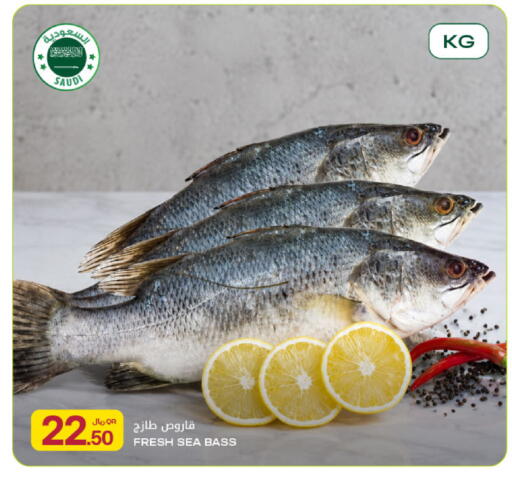 available at Al Meera in Qatar - Al Rayyan
