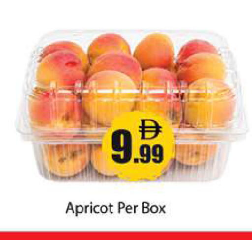 Apricot available at جلف هايبرماركت ذ.م.م in الإمارات العربية المتحدة , الامارات - رَأْس ٱلْخَيْمَة