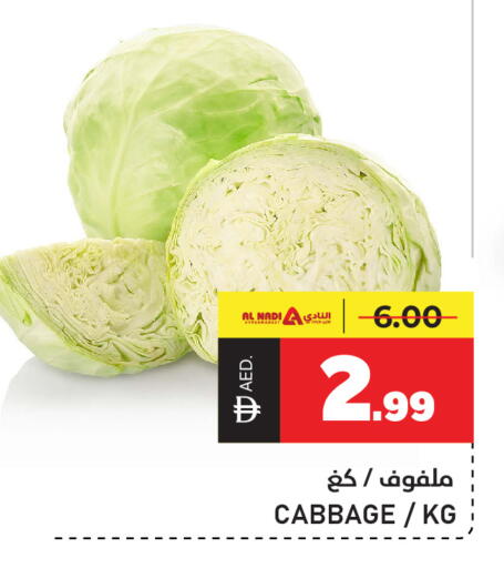 Cabbage available at النادي هايبرماركت in الإمارات العربية المتحدة , الامارات - الشارقة / عجمان