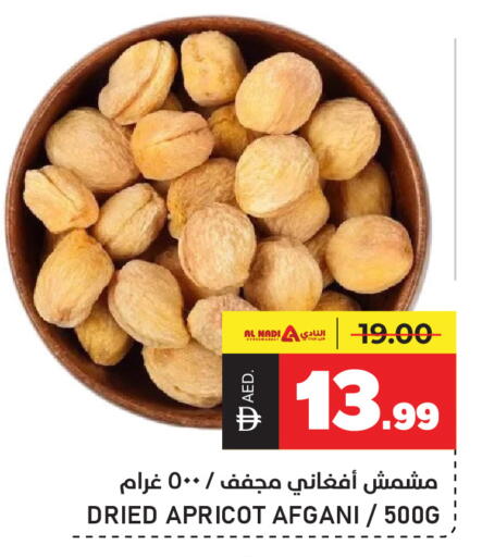 Apricot available at النادي هايبرماركت in الإمارات العربية المتحدة , الامارات - الشارقة / عجمان