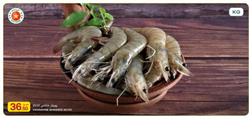 available at شركة الميرة للمواد الاستهلاكية in قطر - الخور