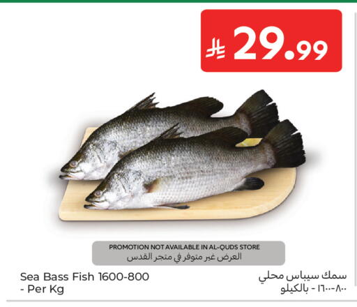 available at كارفور in مملكة العربية السعودية, السعودية, سعودية - المدينة المنورة