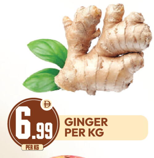 Ginger available at دريم لاند in الإمارات العربية المتحدة , الامارات - دبي