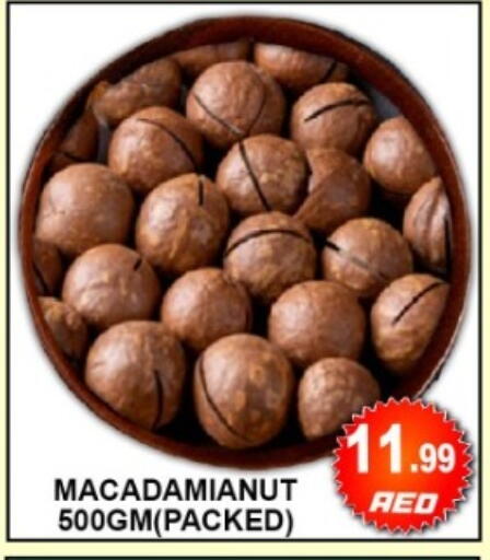 available at جرين جيفت متجر أقسام in الإمارات العربية المتحدة , الامارات - دبي