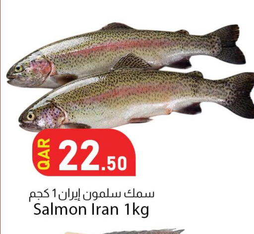 available at Dana Market in Qatar - Al Rayyan