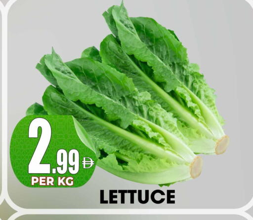 Lettuce available at مركز الخصومات سنترو in الإمارات العربية المتحدة , الامارات - دبي