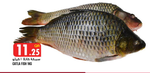 available at قصر الأغذية هايبرماركت in قطر - الدوحة