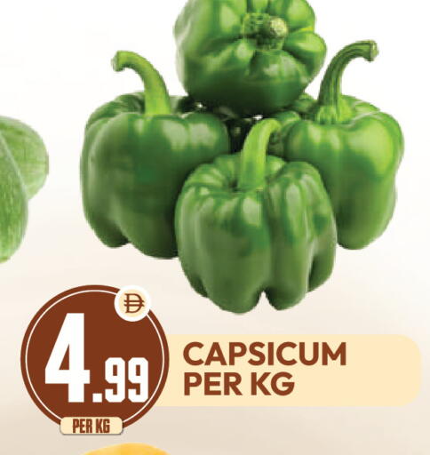 Capsicum available at دريم لاند in الإمارات العربية المتحدة , الامارات - دبي
