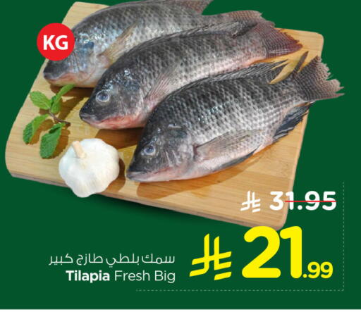 available at نستو in مملكة العربية السعودية, السعودية, سعودية - الخبر‎
