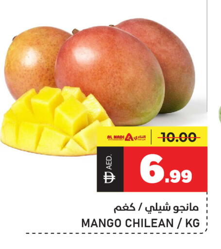 Mango from Chile available at النادي هايبرماركت in الإمارات العربية المتحدة , الامارات - الشارقة / عجمان