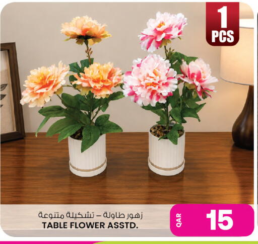 available at أنصار جاليري in قطر - الوكرة