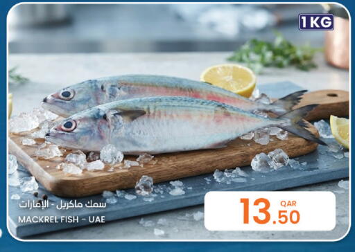 available at Al Baladi Al Yawm in Qatar - Al Rayyan