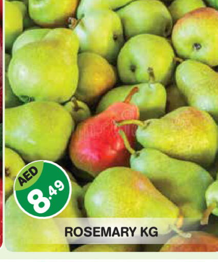 Rosemary available at سنابل بني ياس in الإمارات العربية المتحدة , الامارات - أبو ظبي