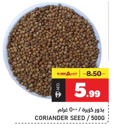 Coriander available at النادي هايبرماركت in الإمارات العربية المتحدة , الامارات - الشارقة / عجمان