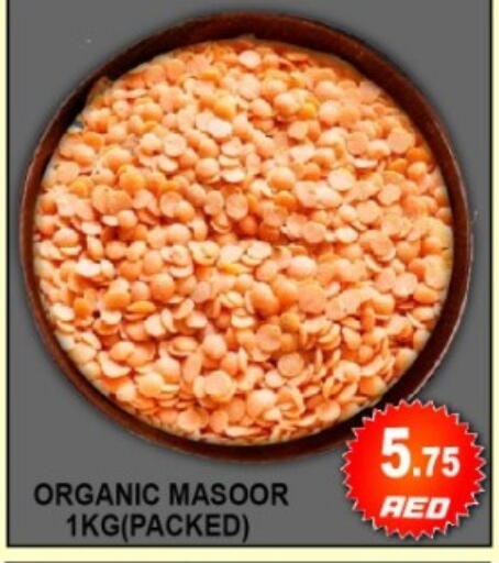 available at جرين جيفت متجر أقسام in الإمارات العربية المتحدة , الامارات - دبي