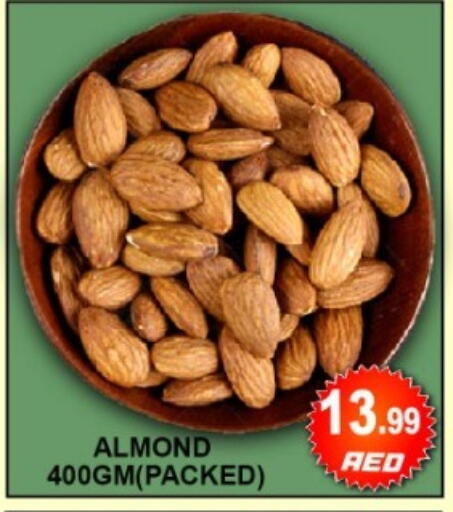 available at جرين جيفت متجر أقسام in الإمارات العربية المتحدة , الامارات - دبي