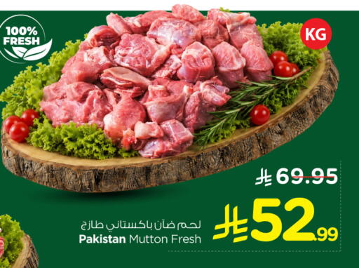 available at نستو in مملكة العربية السعودية, السعودية, سعودية - الخبر‎
