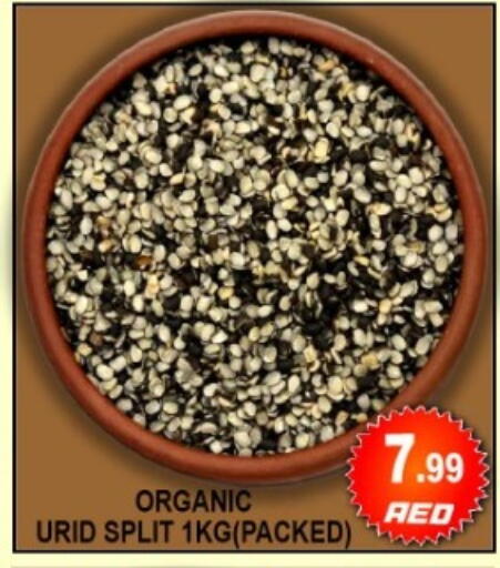 available at جرين جيفت متجر أقسام in الإمارات العربية المتحدة , الامارات - دبي